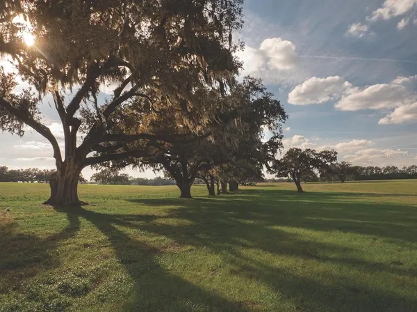 a big yard with lots of green space and trees