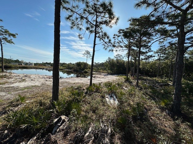 Parcel3 B Houston Road Eastpoint, FL 32328 - Photo 3 of 6