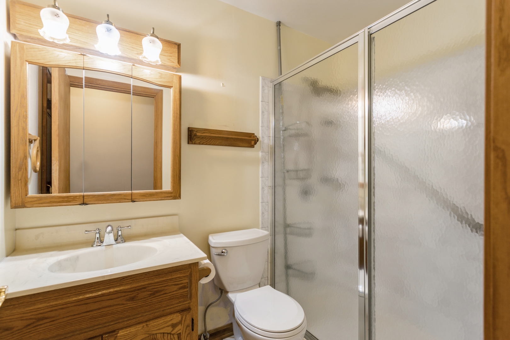 628 West Briarcliff Road Bolingbrook, IL 60440 - Photo 25 of 31 a bathroom with a sink a toilet and shower