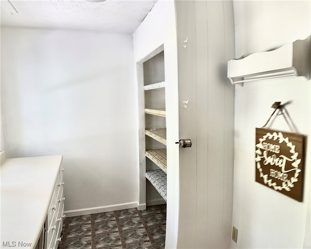 1009 Sandy Lake Road Kent, OH 44240 - Photo 10 of 35 Large walk-in pantry with shelves & cupboards. Could be converted to 1st floor laundry