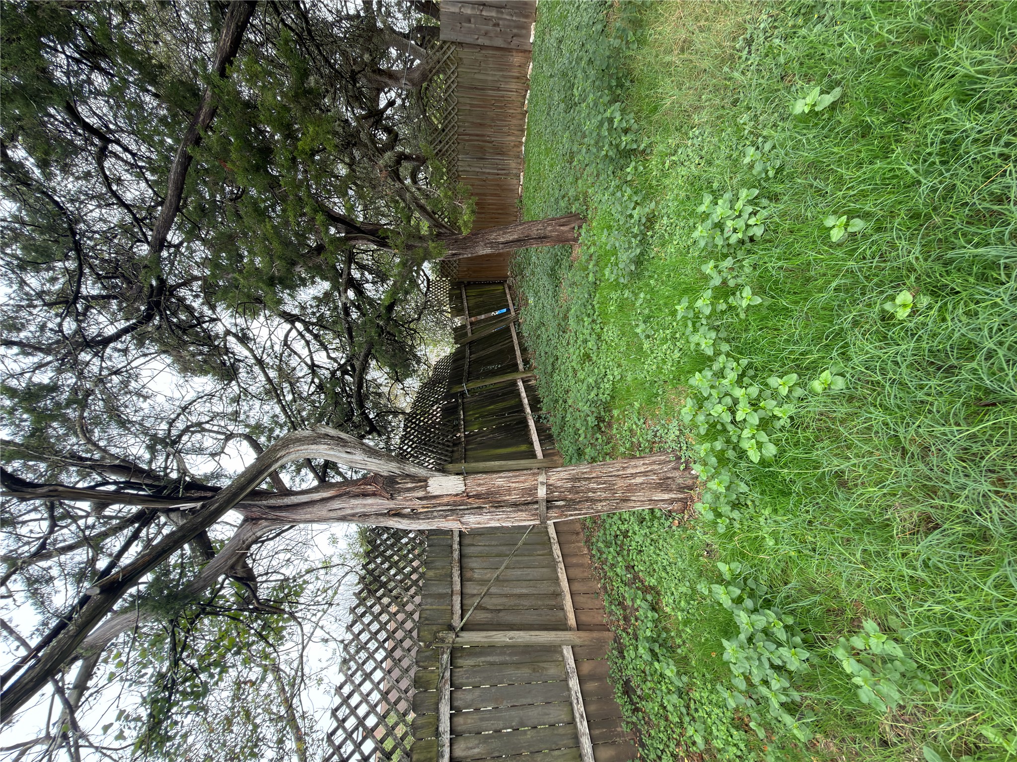 5601 Porsche Lane Austin, TX 78749 - Photo 16 of 38 a backyard of a house with lots of plants and large tree