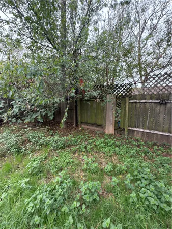 a backyard of a house with lots of green space