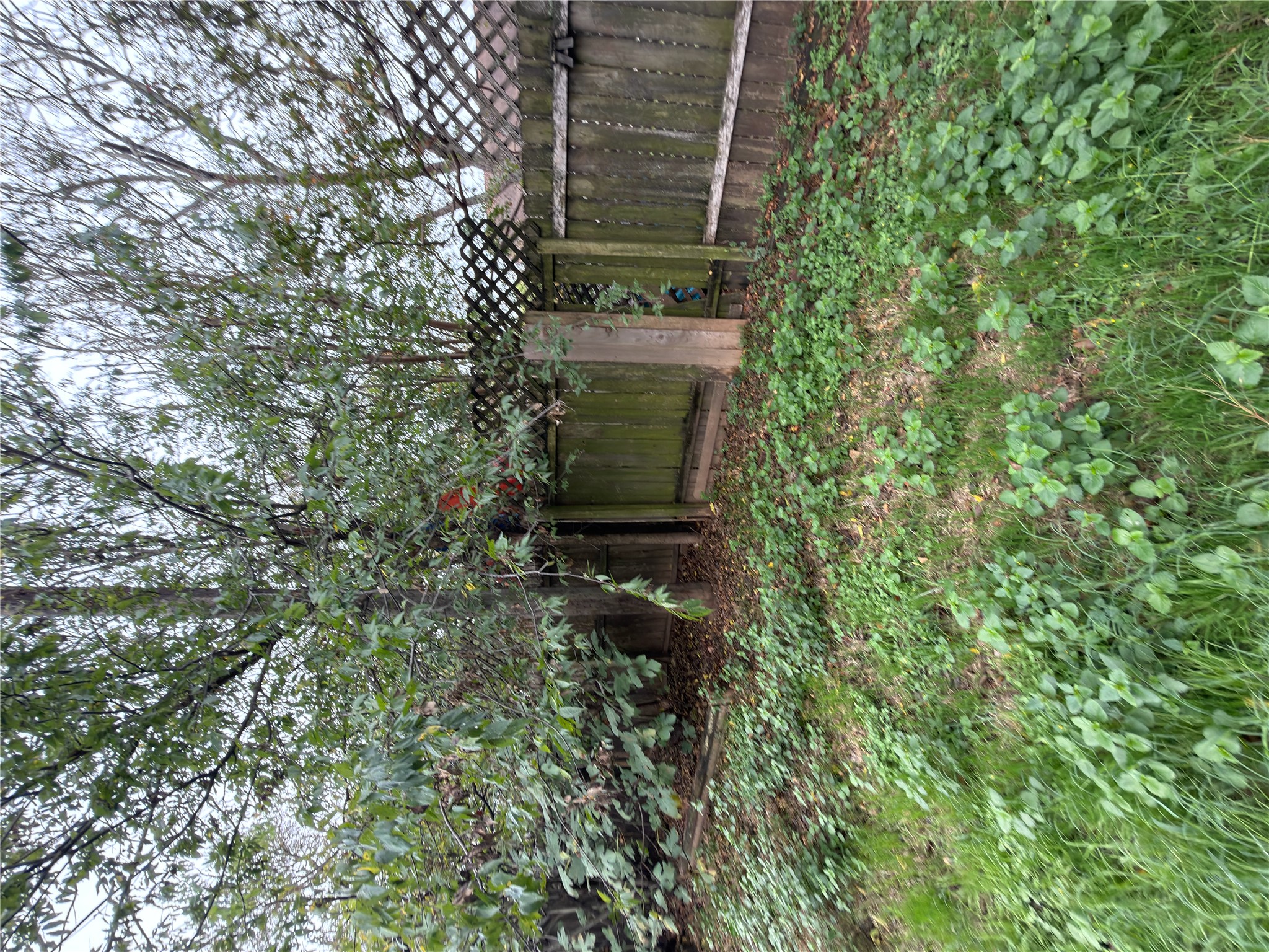 5601 Porsche Lane Austin, TX 78749 - Photo 17 of 38 a backyard of a house with lots of green space