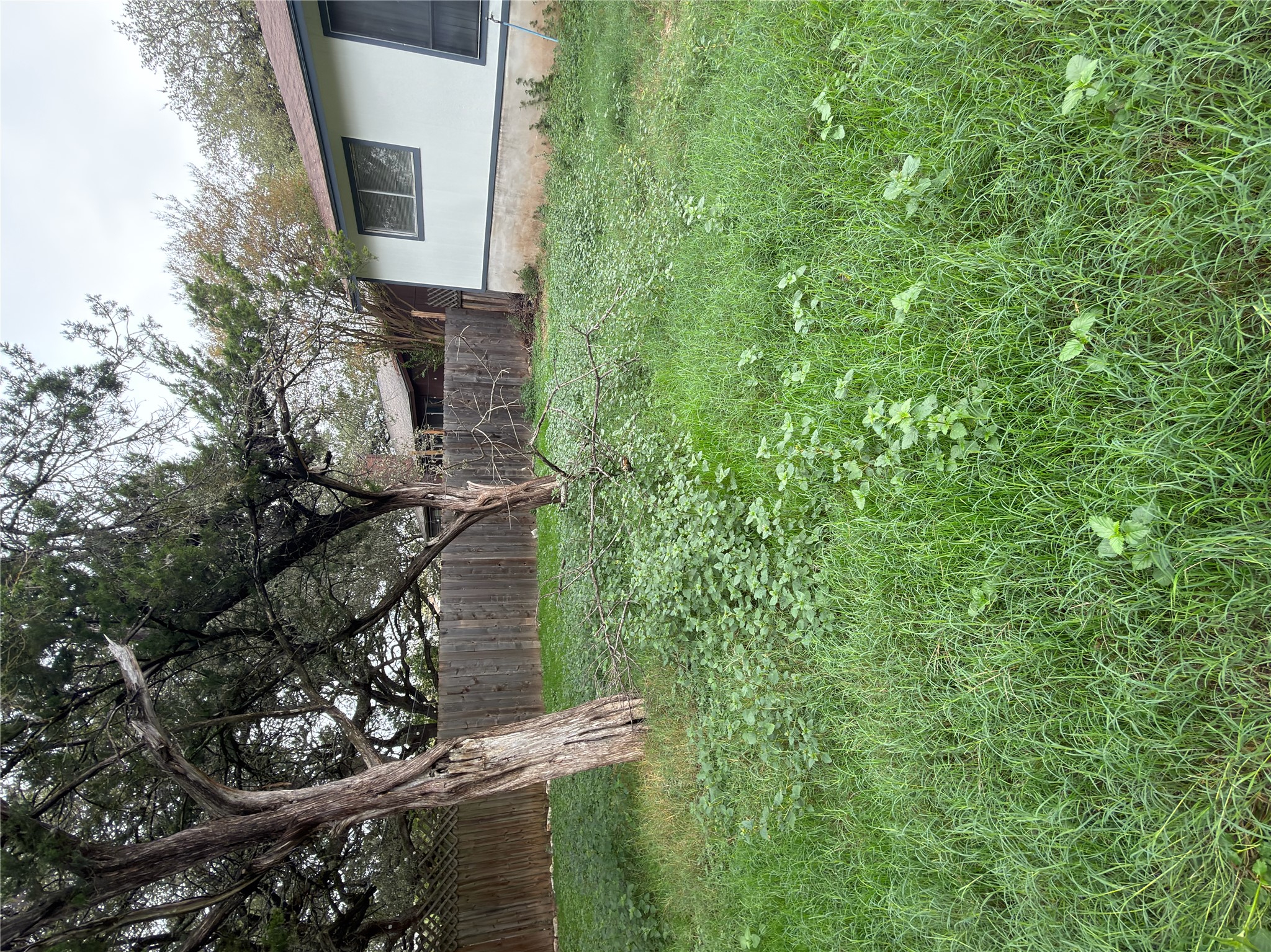 5601 Porsche Lane Austin, TX 78749 - Photo 20 of 38 a view of a house with a backyard