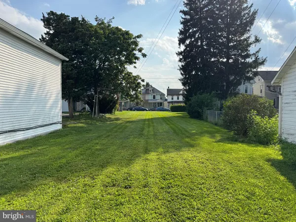 a view of a backyard with a large tree