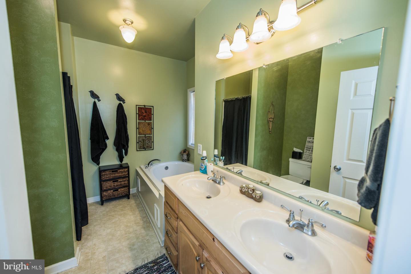 619 Mountain Heights Road Front Royal, VA 22630 - Photo 6 of 30 Bath (Master)