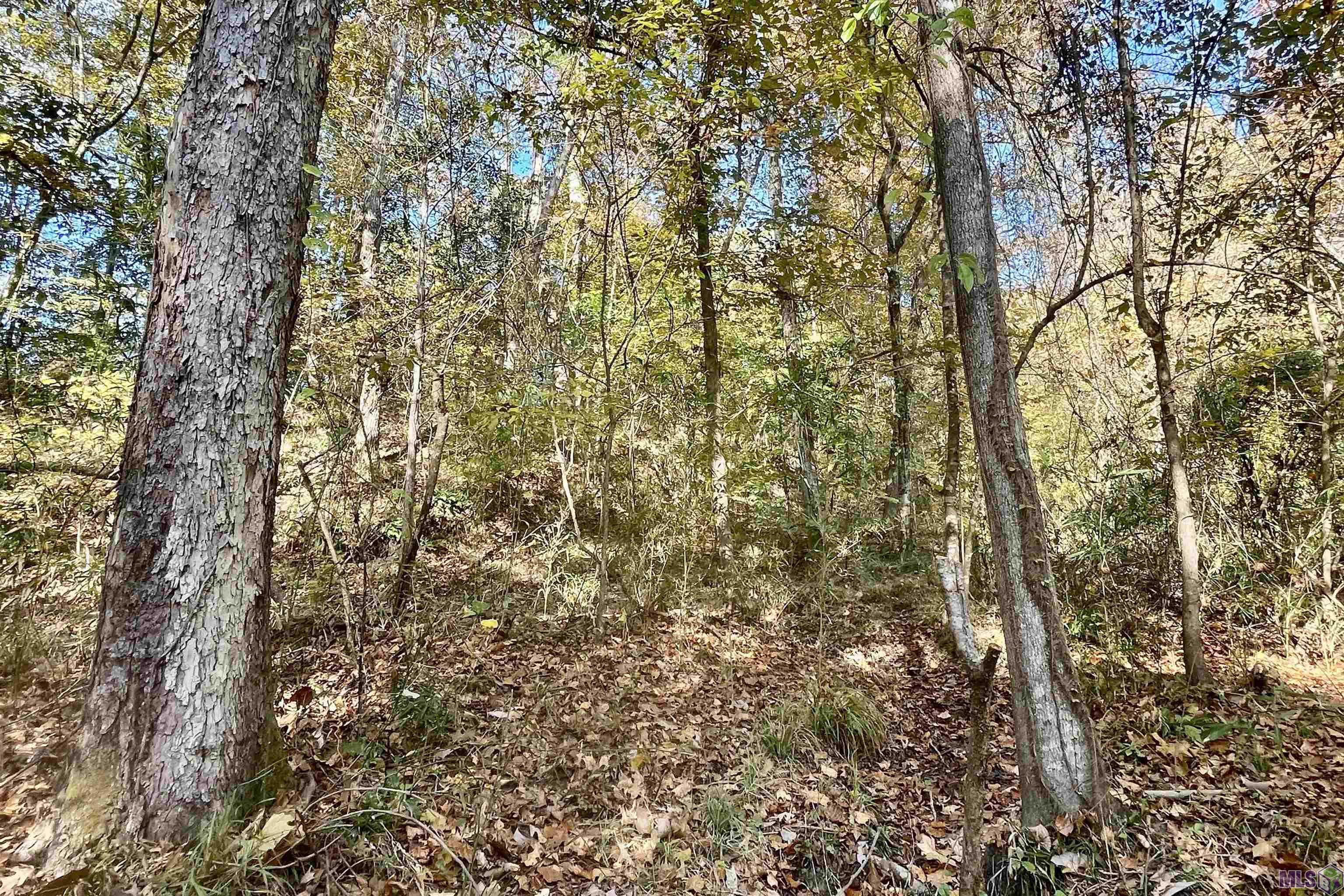 5 Stampley Road Roxie, MS 39661 - Photo 10 of 36