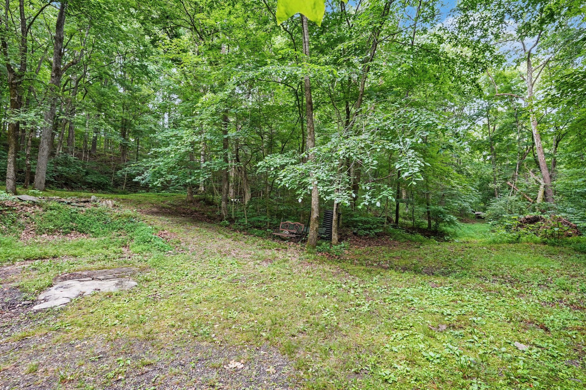 5833 Highway 76 East Springfield, TN 37172 - Photo 49 of 66 a backyard of a house with lots of green space