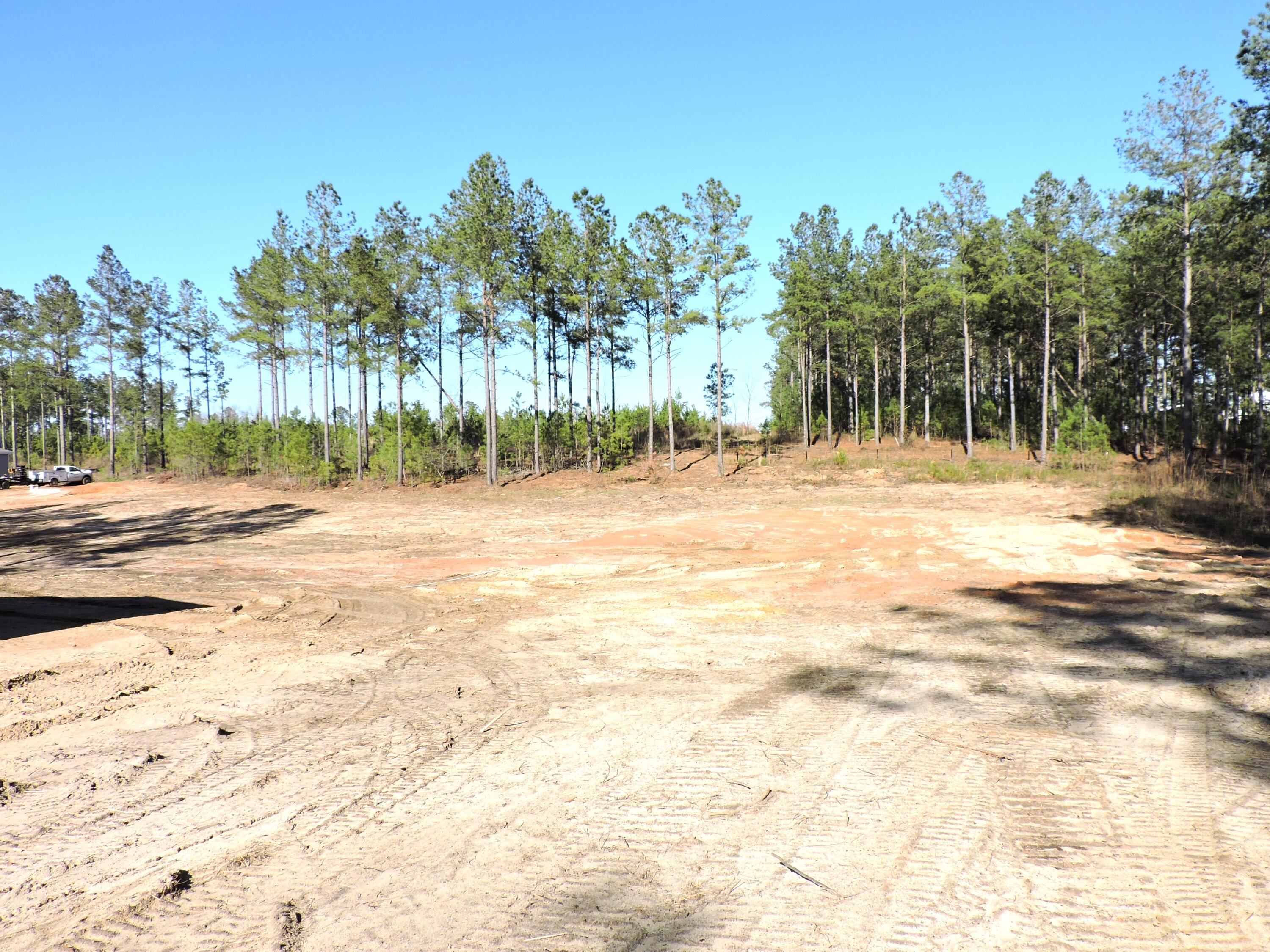 818 White Pond Road Williston, SC 29853 - Photo 4 of 42