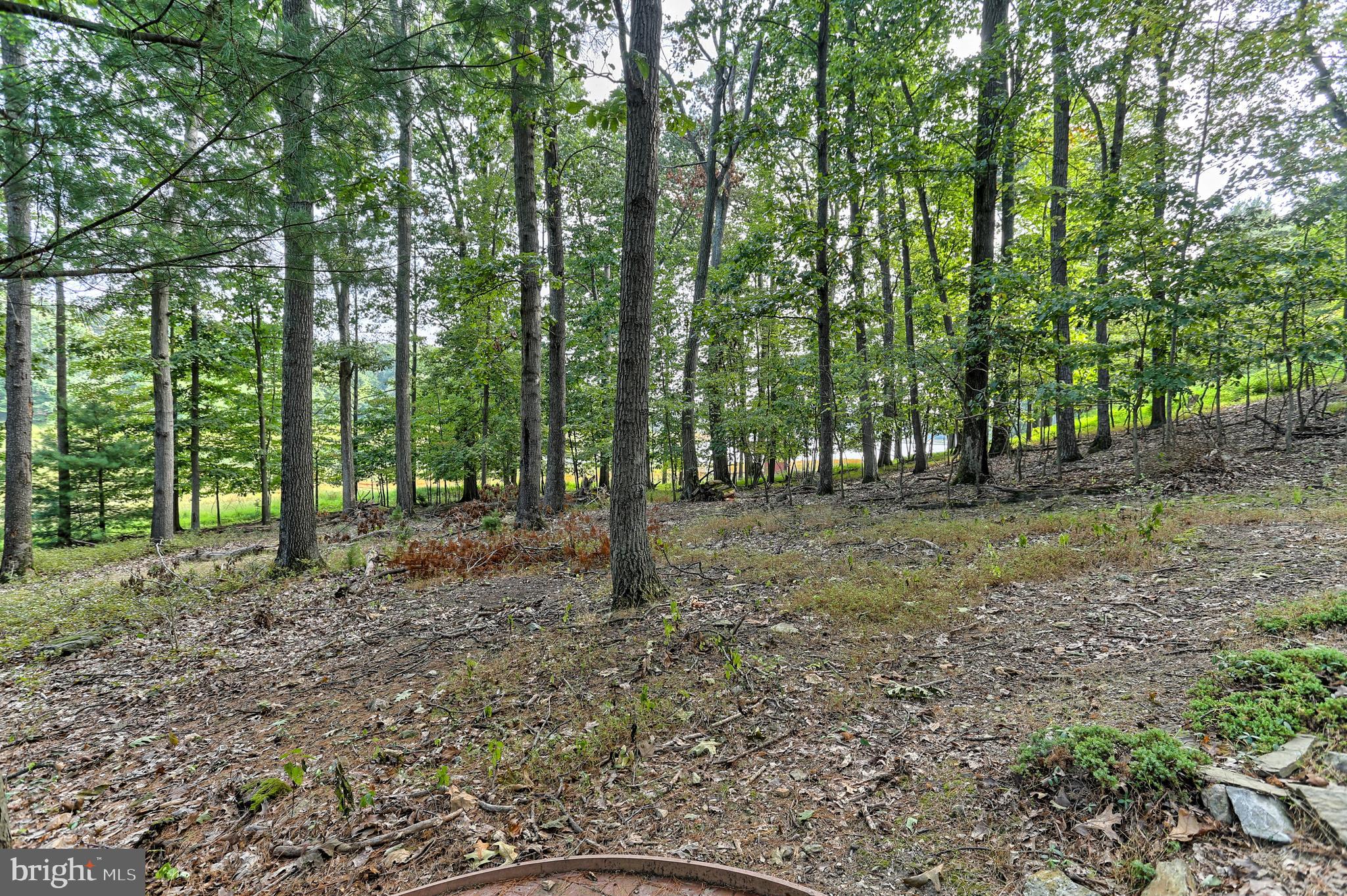 169 Acorn Road Spring Grove, PA 17362 - Photo 83 of 88 Gallery Image 83