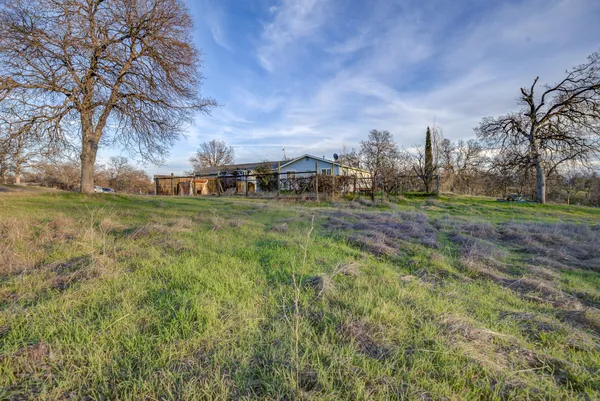 a view of a large yard with plants and trees