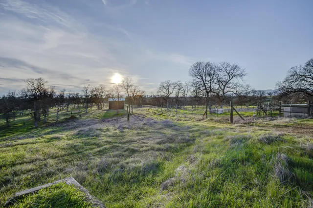 a view of a yard with a tree