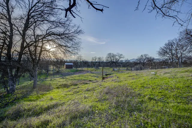 a view of a garden with a bench