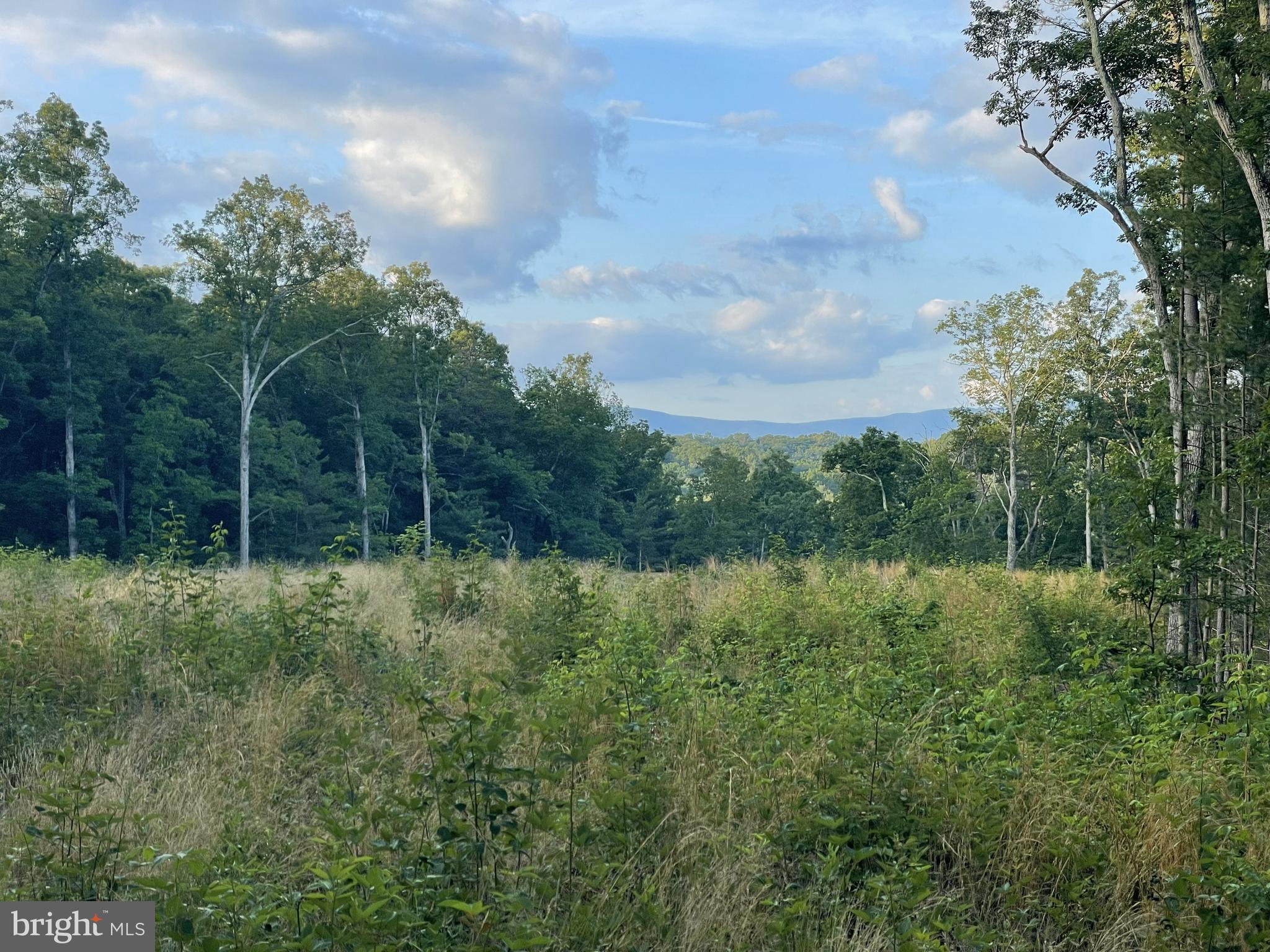 Timber Ridge Drive Front Royal, VA 22630 - Photo 3 of 3 Lot is Flat and you have to see the views !!
