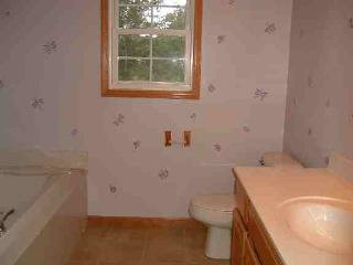 10071 Secor Road Temperance, MI 48182 - Photo 11 of 14 Master Bath