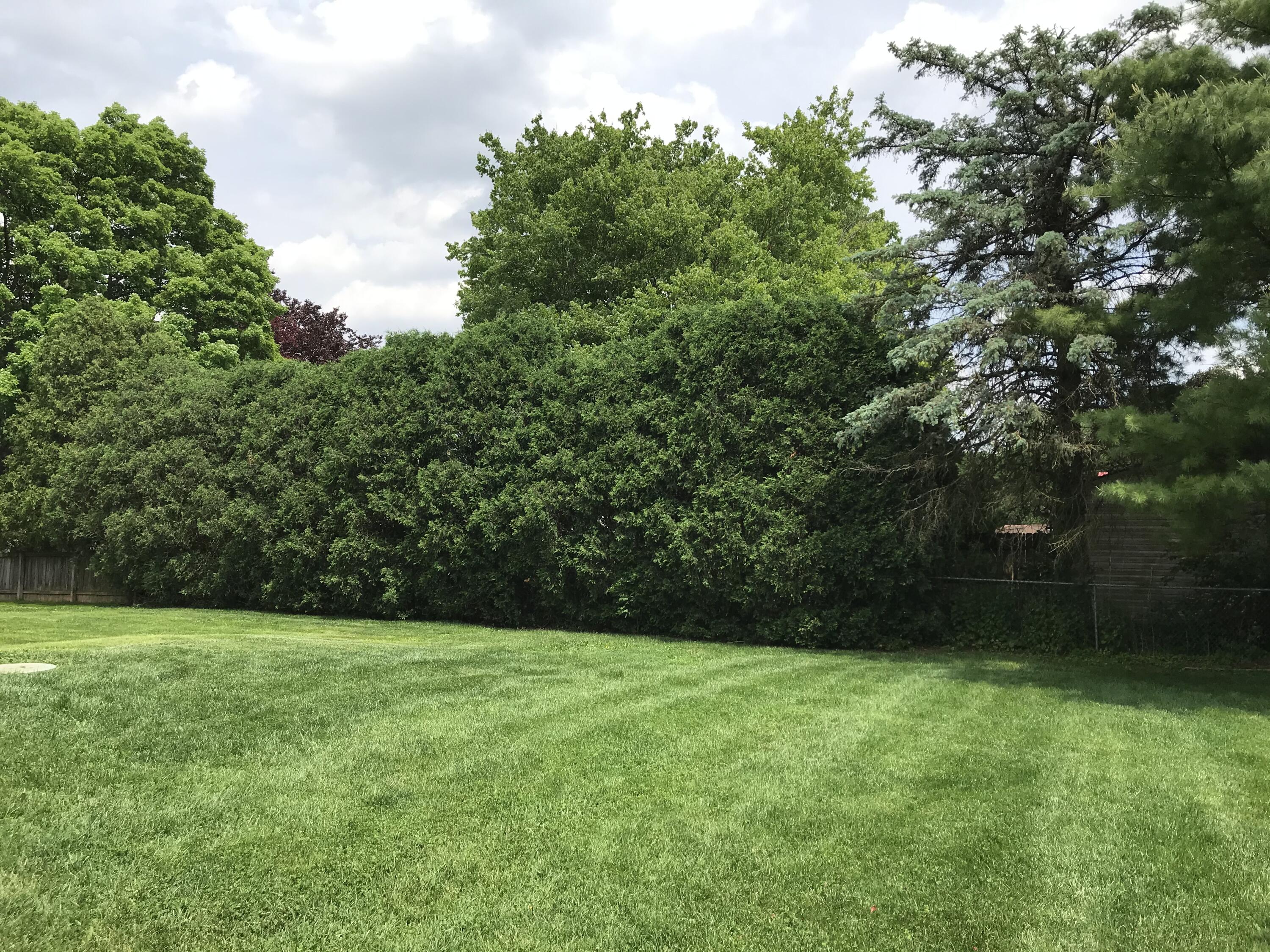 2021 Old Coach Road Springfield, OH 45505 - Photo 4 of 41