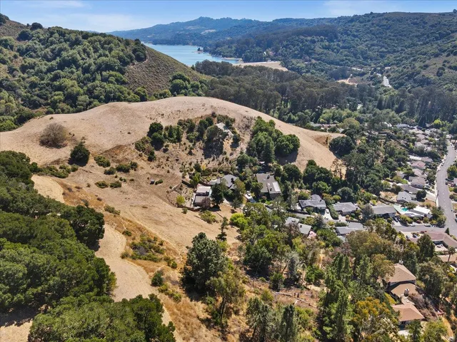 a view of a mountain range with a lush green forest