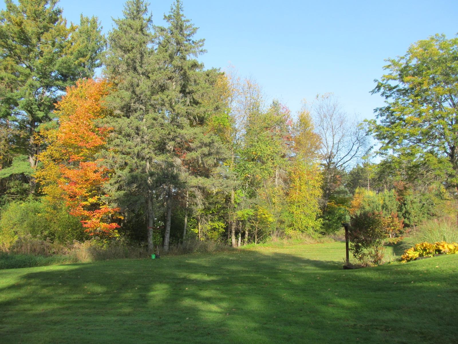 10080 East 50 Road Cadillac, MI 49601 - Photo 32 of 57