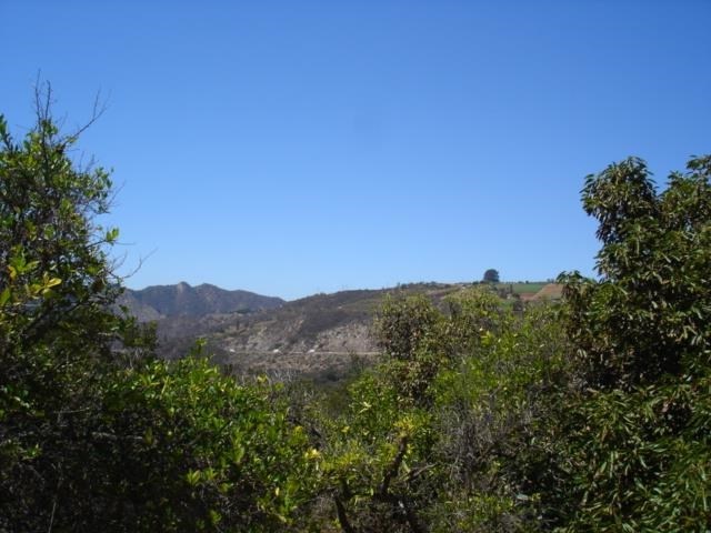 48 Ritson Road Escondido, CA 92026 - Photo 1 of 1 a view of a mountain range with trees in the background
