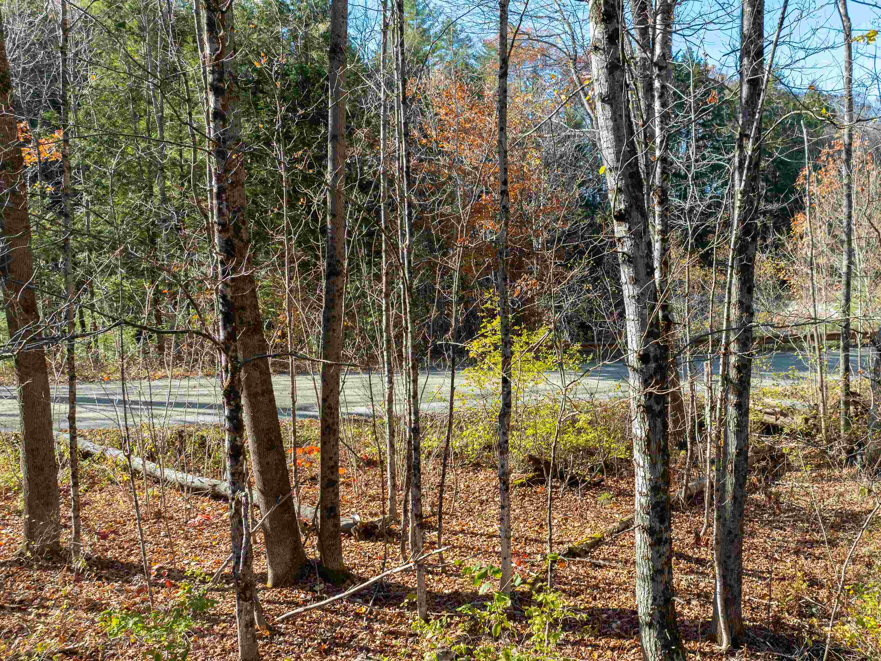 0 Carlton Hill Road Woodstock, VT 05091 - Photo 5 of 11