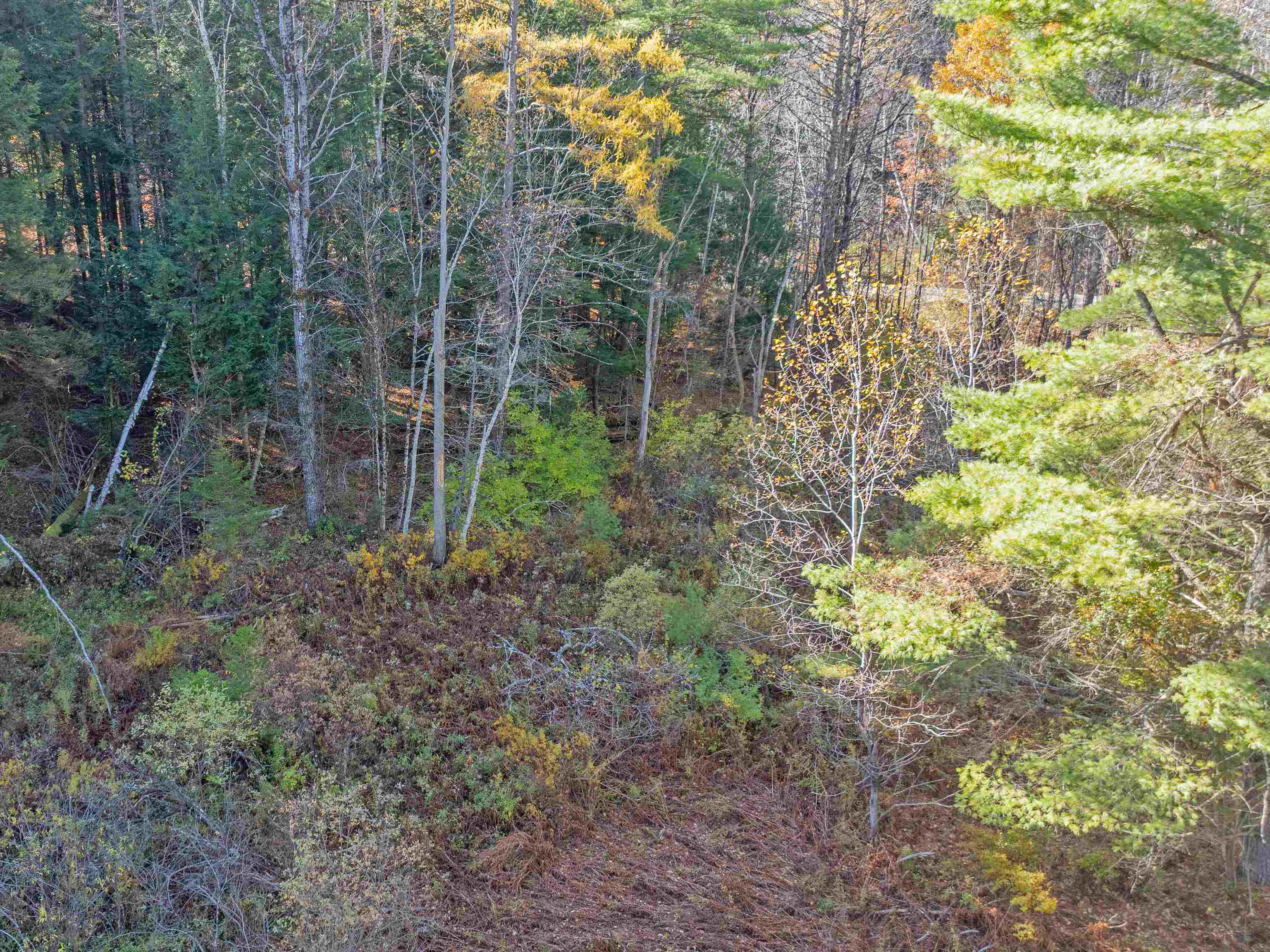 0 Carlton Hill Road Woodstock, VT 05091 - Photo 8 of 11