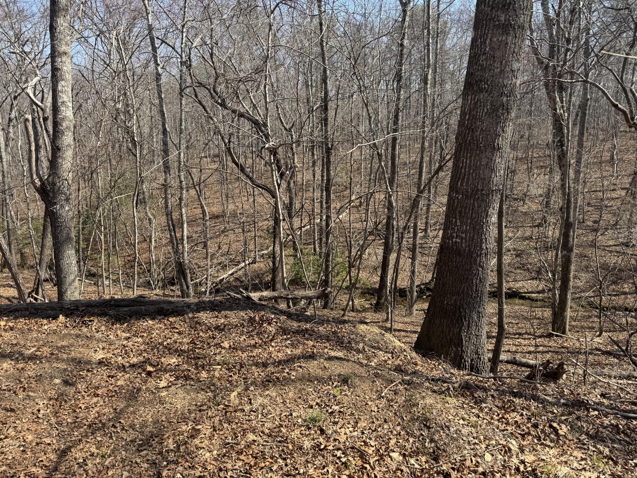 626 Woodland Ridge Road Dunlap, TN 37327 - Photo 8 of 12 Gallery Image 8