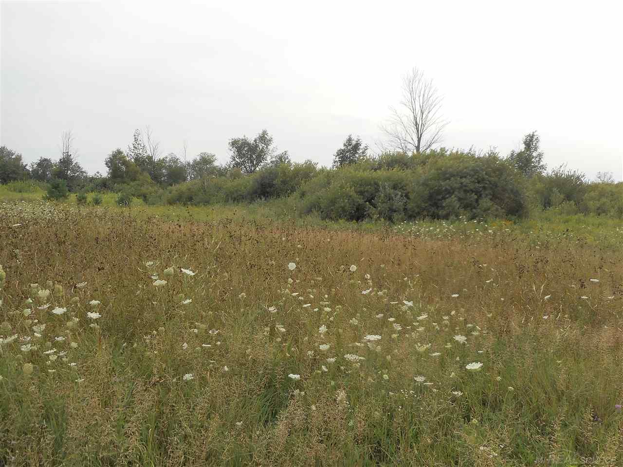 Vl Jordan Road Melvin, MI 48454 - Photo 13 of 22