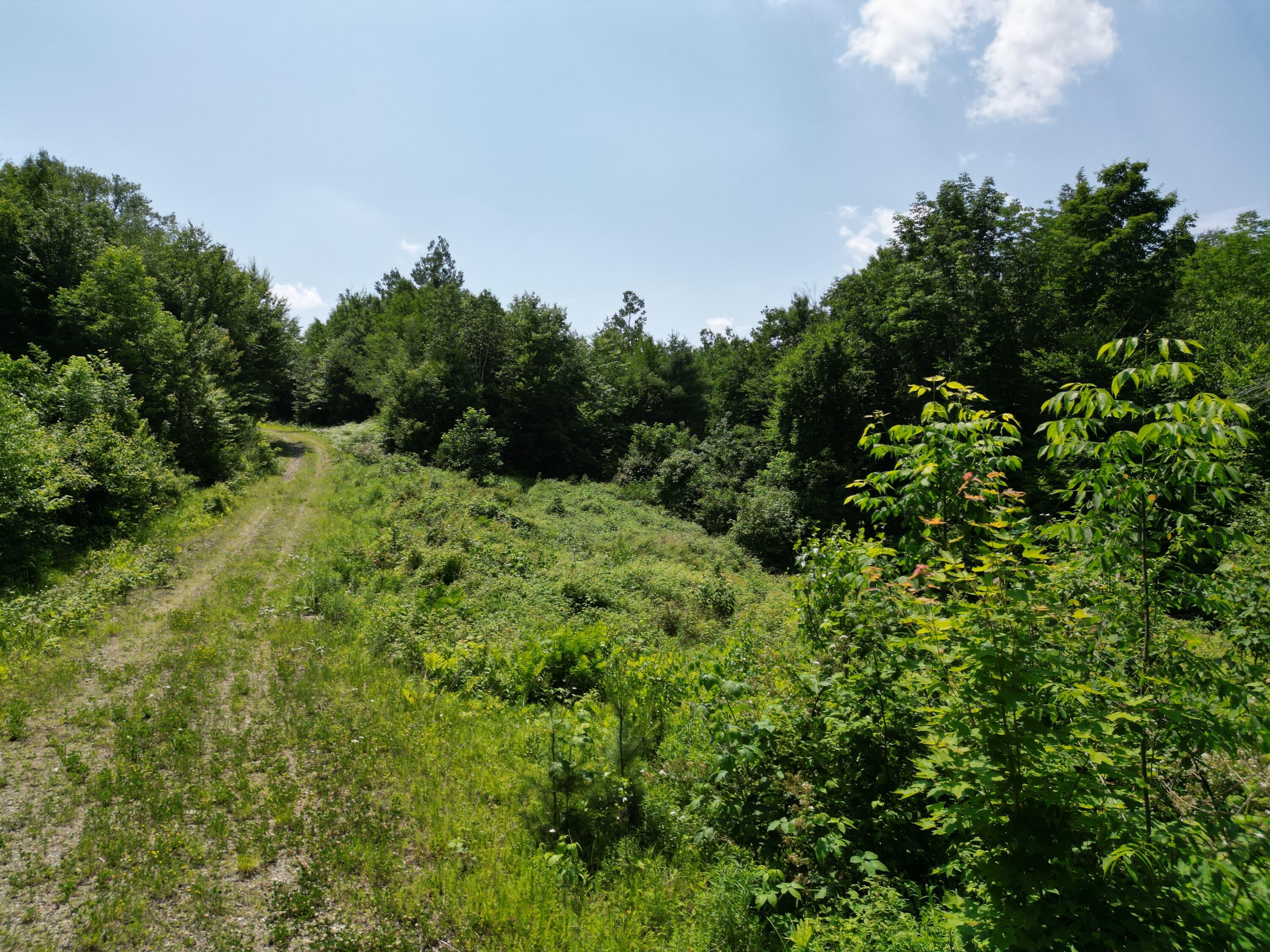 Lot 9 Dirty Glove Road Springfield, ME 04487 - Photo 11 of 14 DJI_0818
