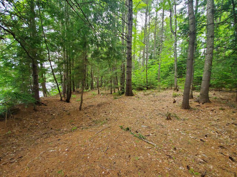 R7-l 4-6 North Pond Road Chesterville, ME 04938 - Photo 8 of 19 20190613_104513