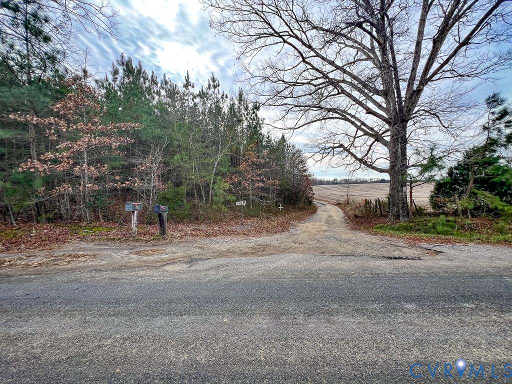 32082 Sparta Road Milford, VA 22514 - Photo 37 of 39 a view of dirt yard with a large tree