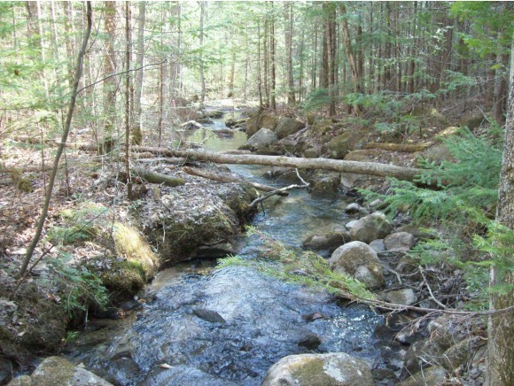 ++ Upper Mad River Road Thornton, NH 03285 - Photo 1 of 1