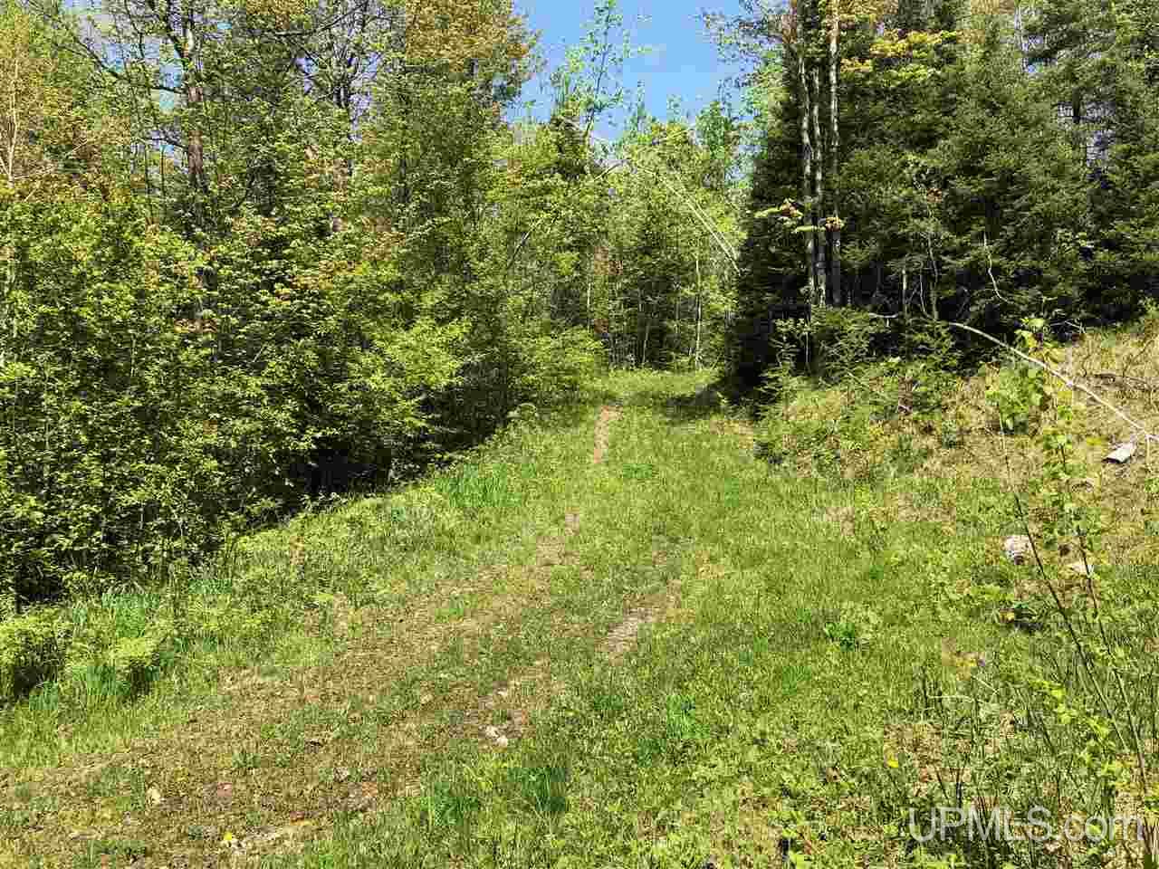 79.99-ac Off West Harding Road Bessemer, MI 49911 - Photo 30 of 33