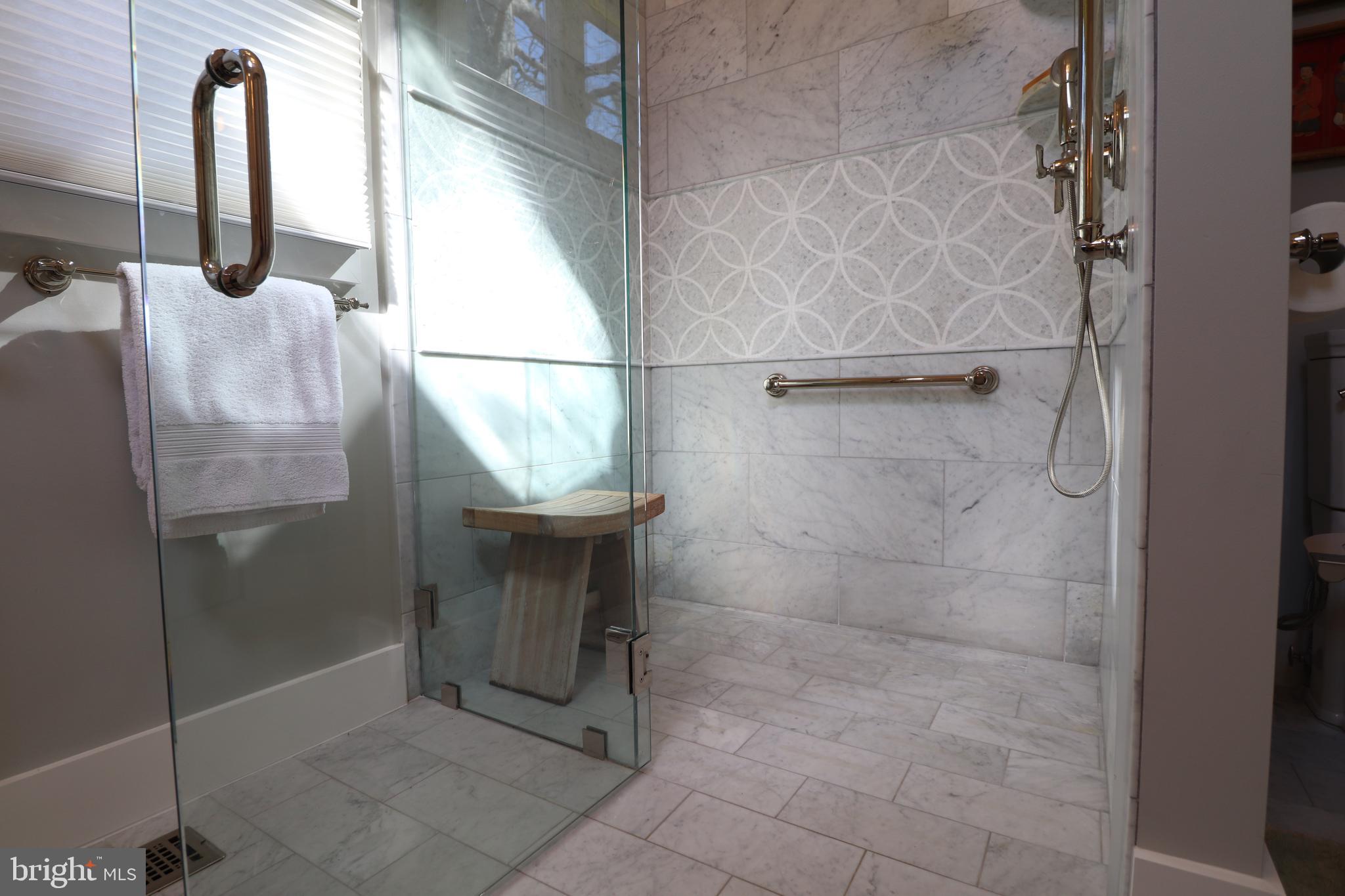 1400 Ritchie Court Annapolis, MD 21401 - Photo 19 of 58 Primary Shower with Infinity Drain
