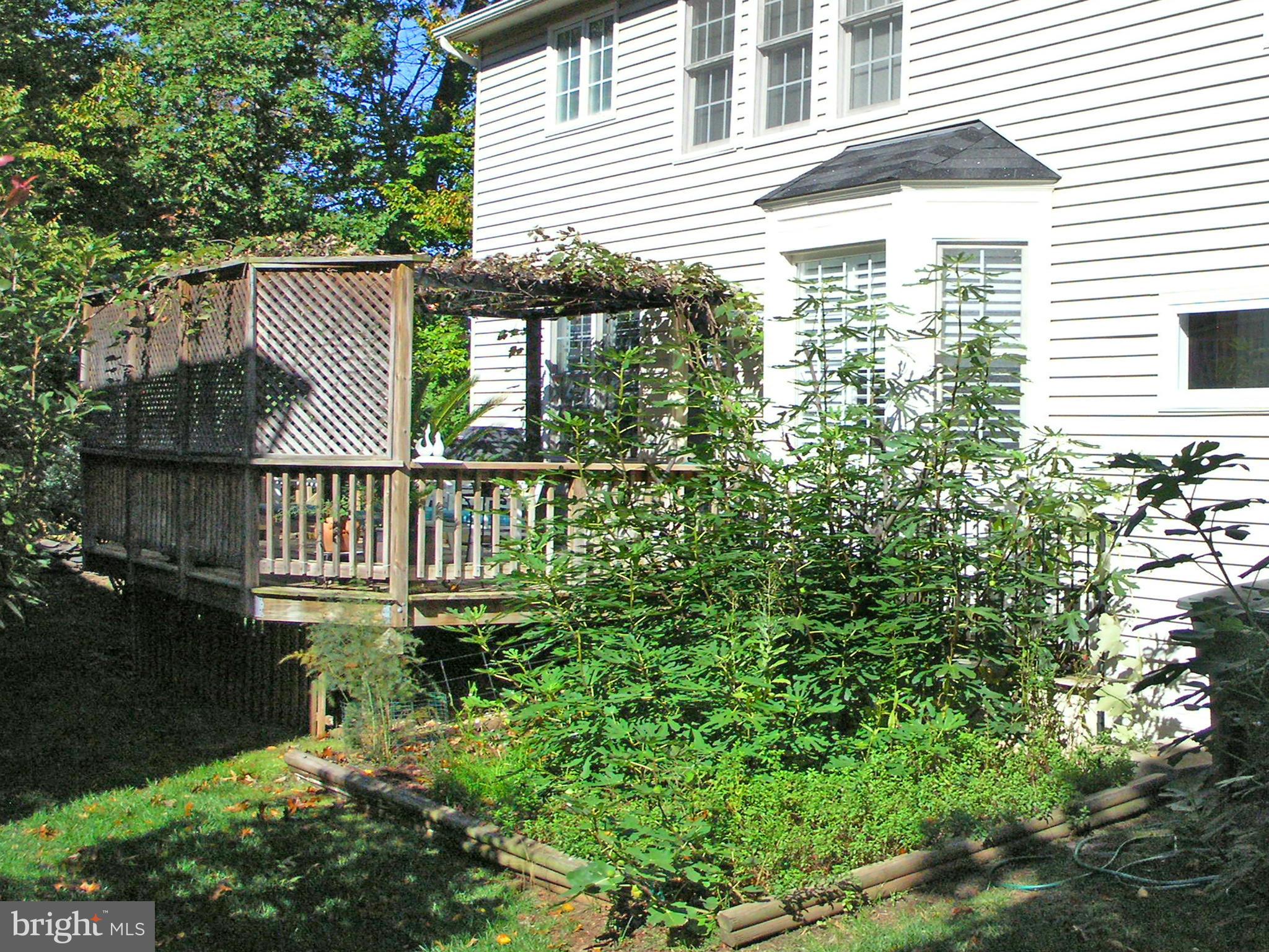 47611 Rhyolite Place Sterling, VA 20165 - Photo 11 of 29 a front view of a house with a yard