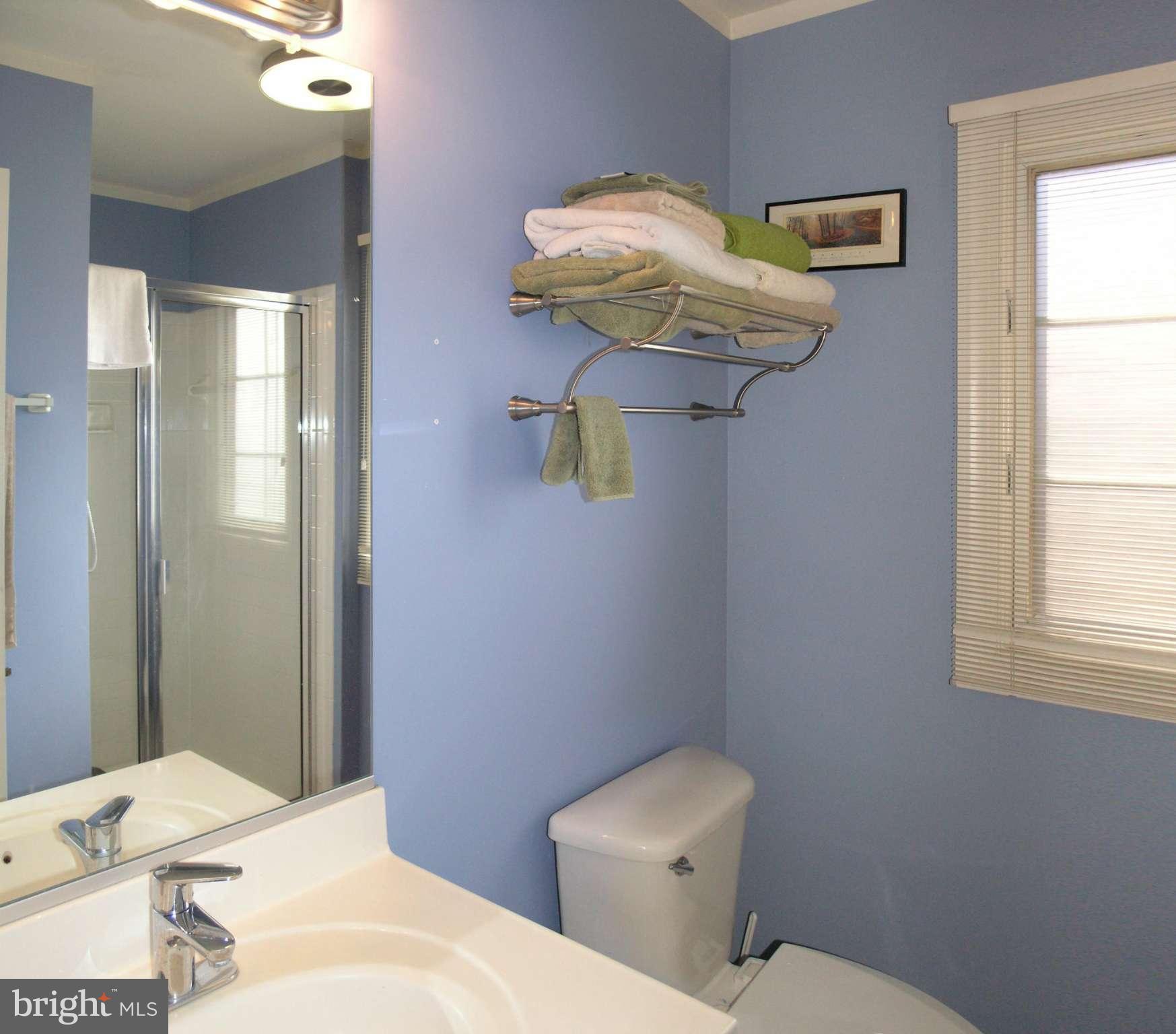47611 Rhyolite Place Sterling, VA 20165 - Photo 14 of 29 a bathroom with a toilet sink and mirror