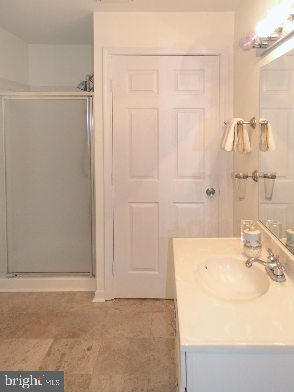 47611 Rhyolite Place Sterling, VA 20165 - Photo 17 of 29 a bathroom with a sink and a shower