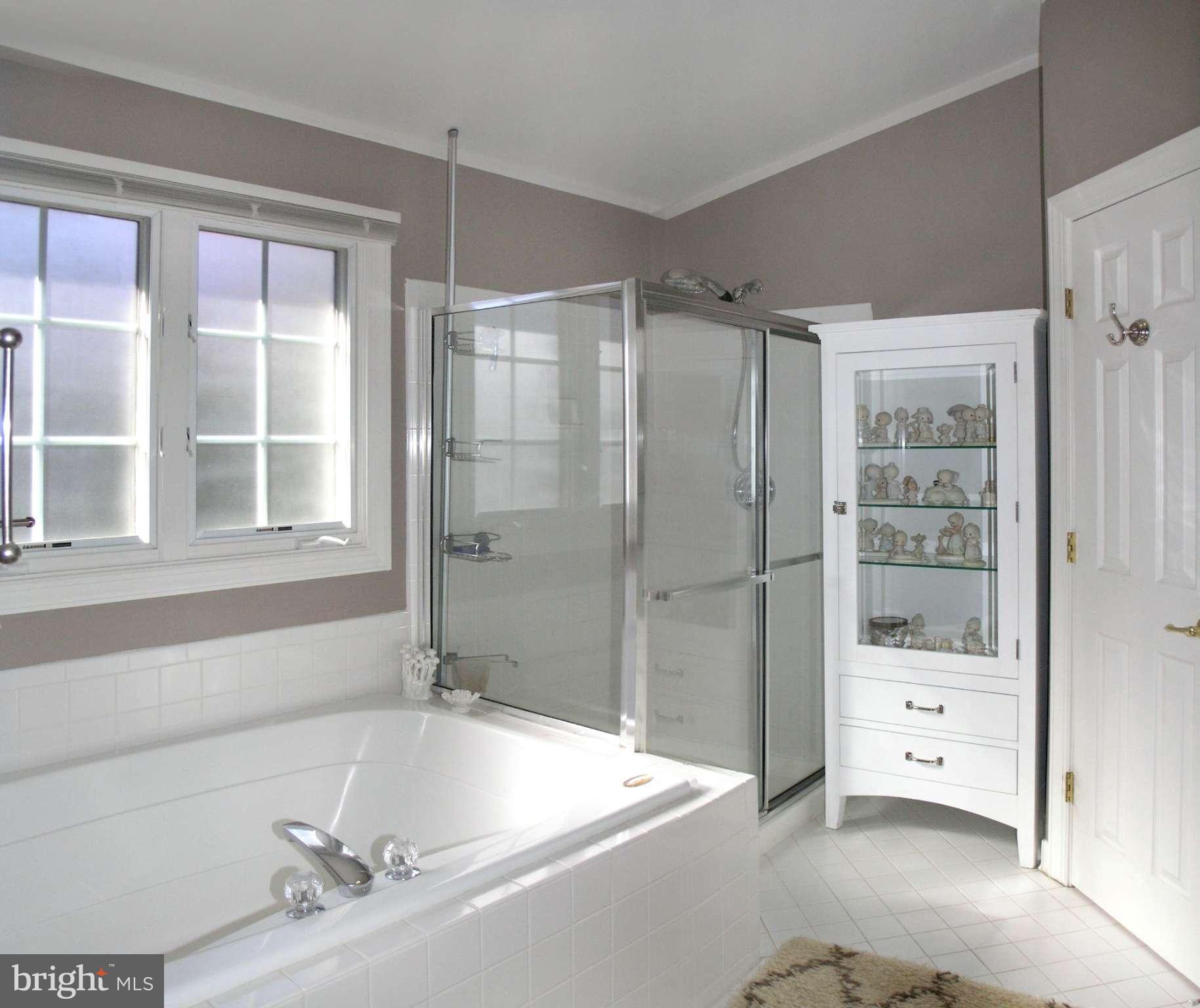 47611 Rhyolite Place Sterling, VA 20165 - Photo 23 of 29 a bathroom with a bathtub and a shower