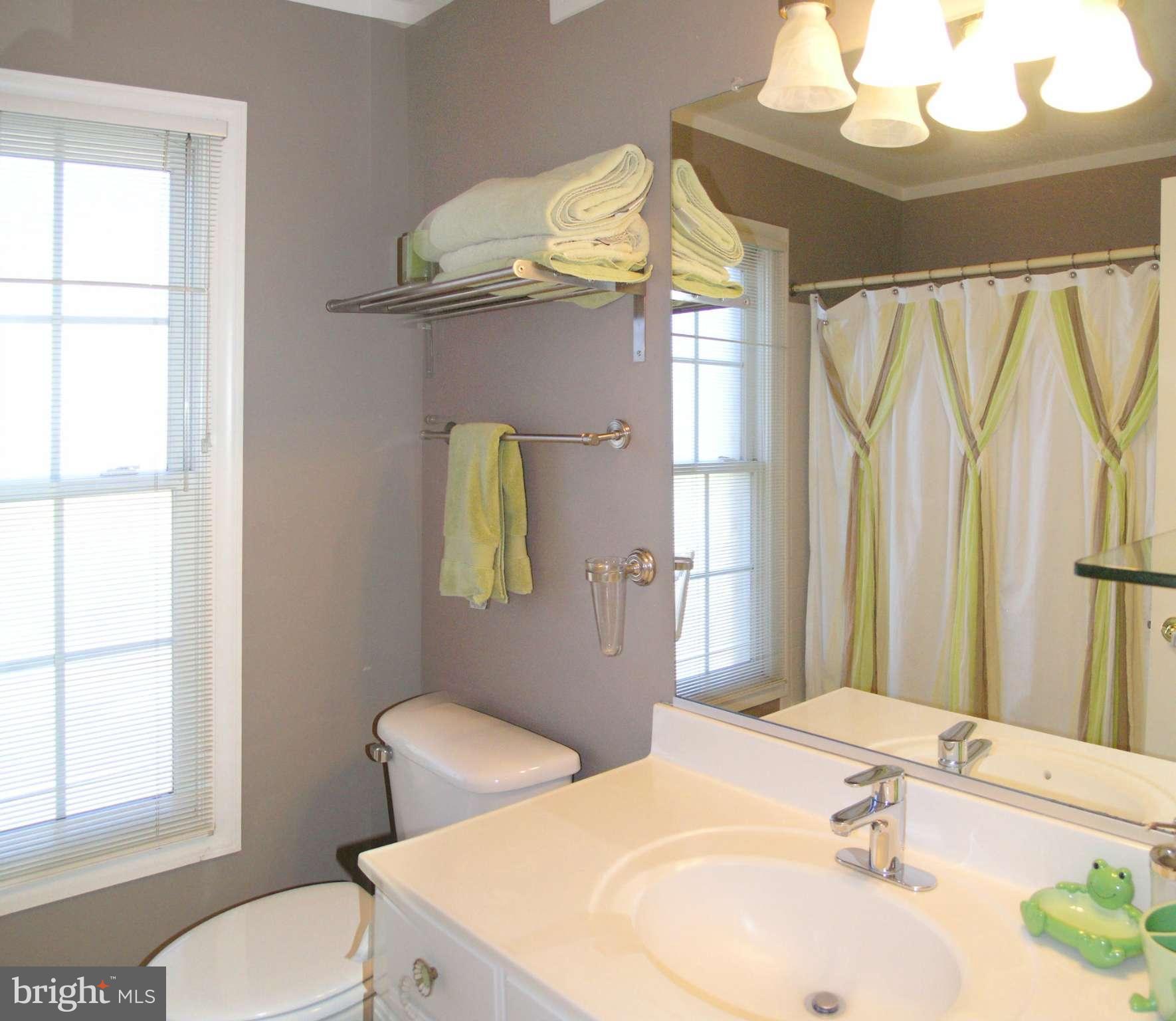 47611 Rhyolite Place Sterling, VA 20165 - Photo 25 of 29 a bathroom with a sink a toilet and mirror