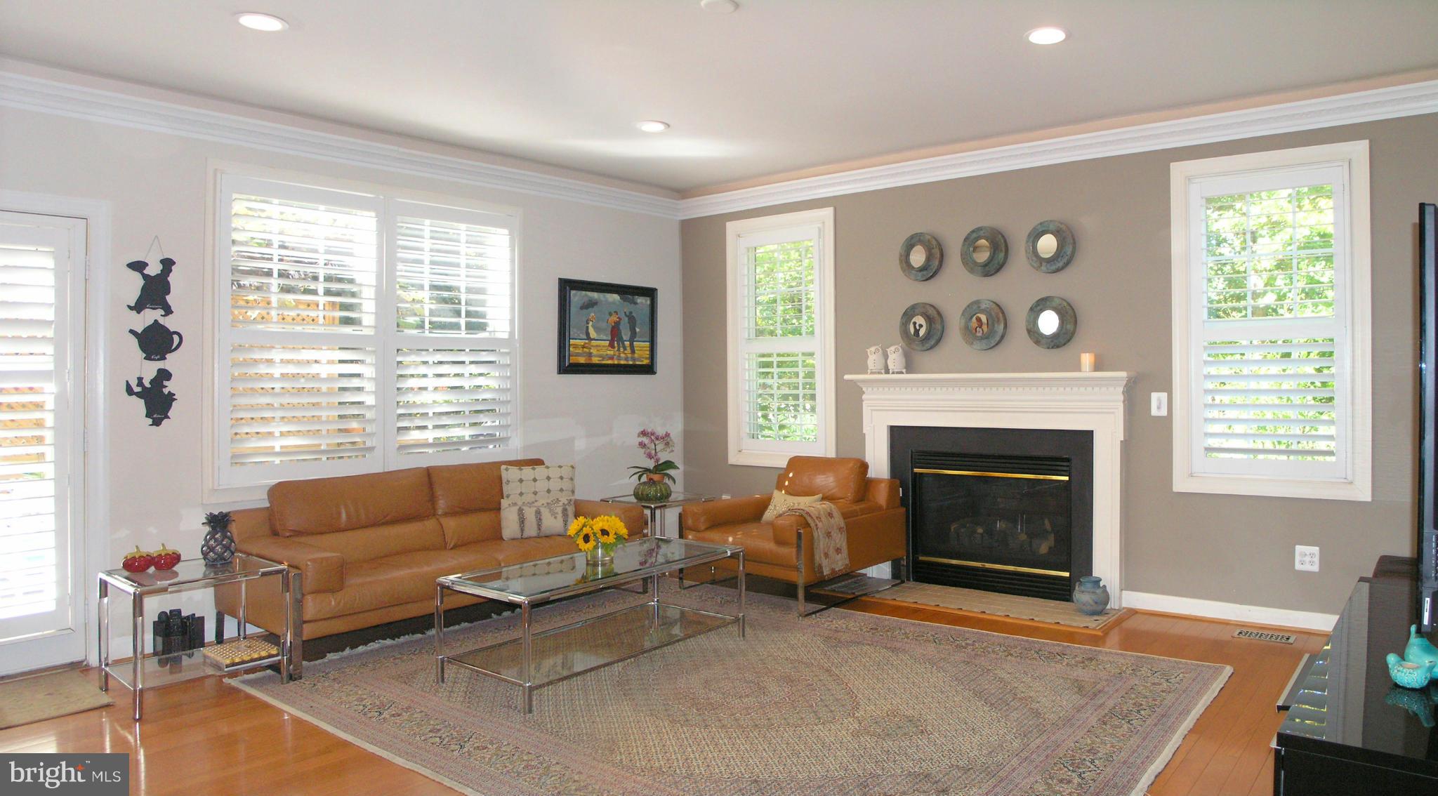 47611 Rhyolite Place Sterling, VA 20165 - Photo 5 of 29 a living room with furniture and a fireplace