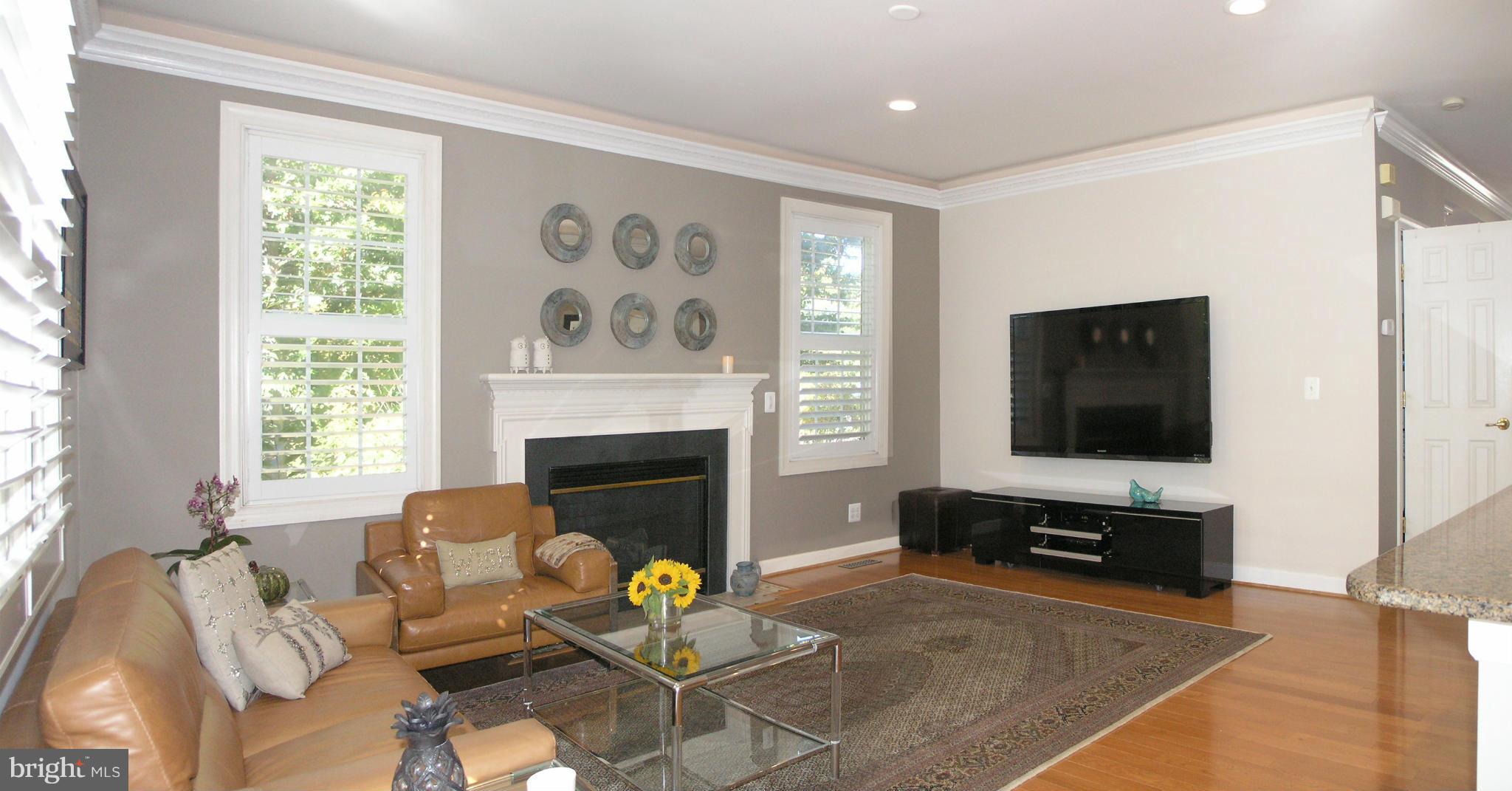 47611 Rhyolite Place Sterling, VA 20165 - Photo 6 of 29 a living room with furniture a flat screen tv and a fireplace