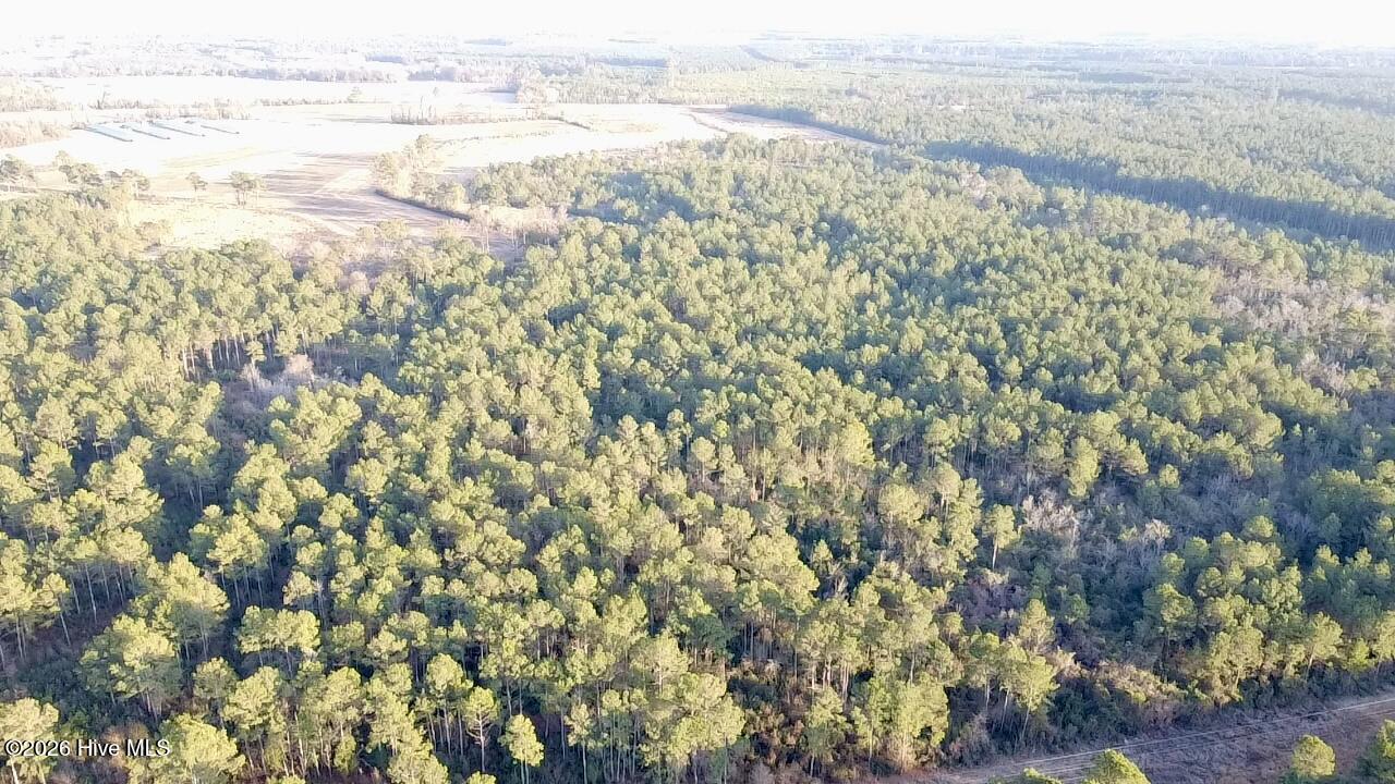 0 Rogers Mill Road Rose Hill, NC 28458 - Photo 12 of 62 2025-12-24-16-09-52-238