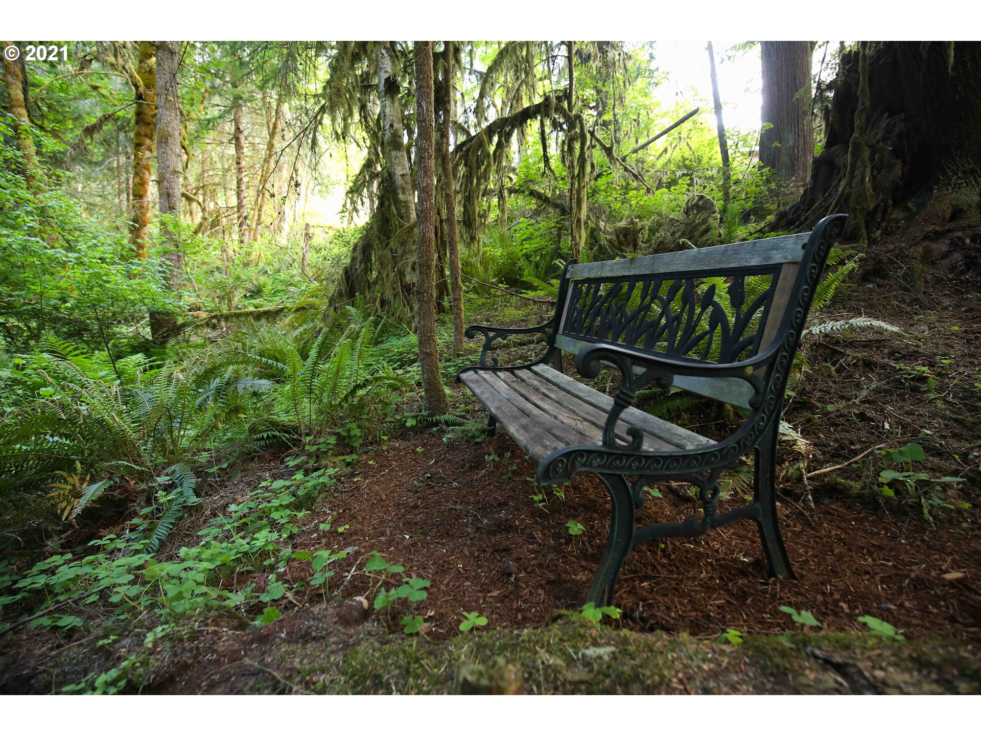 35108 Perkins Creek Road Cottage Grove, OR 97424 - Photo 28 of 31 Gallery Image 28
