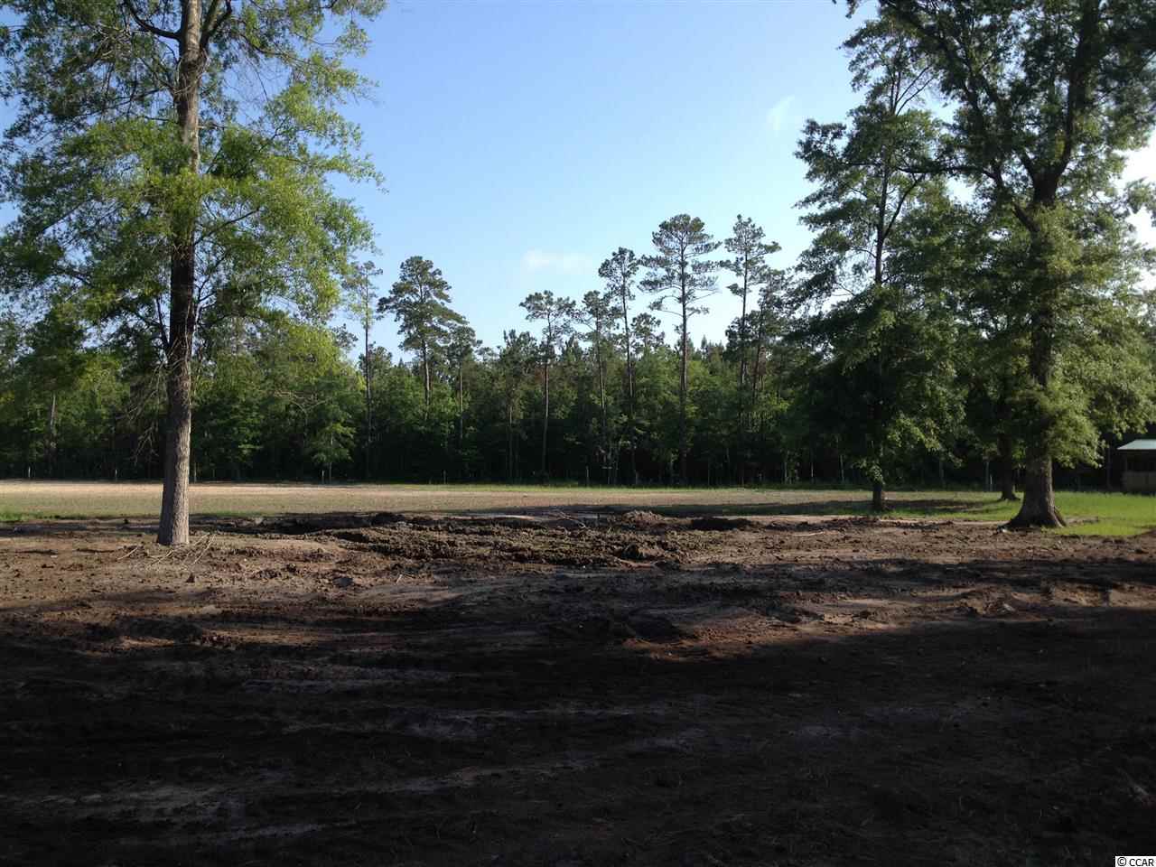 4546 Old Tram Road Conway, SC 29527 - Photo 17 of 19 Gallery Image 17
