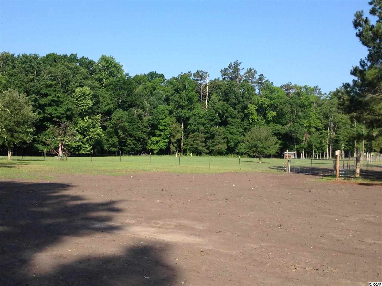 4546 Old Tram Road Conway, SC 29527 - Photo 18 of 19 Gallery Image 18