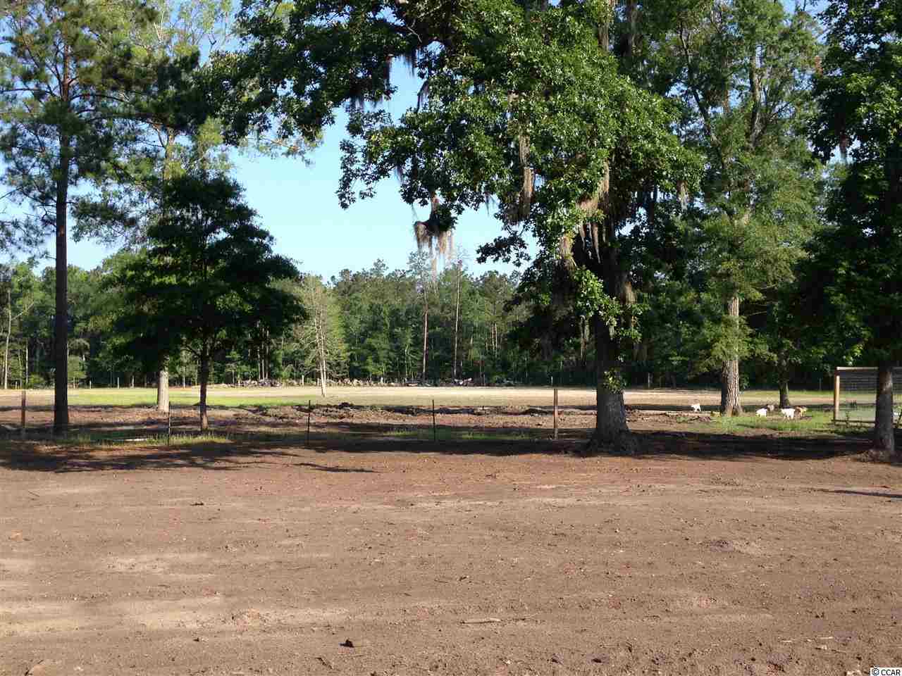 4546 Old Tram Road Conway, SC 29527 - Photo 19 of 19 Gallery Image 19