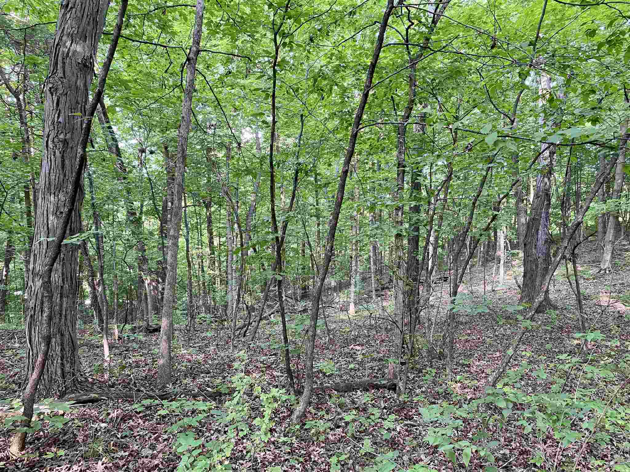13723 North Ivy Lake Road Chillicothe, IL 61523 - Photo 2 of 10 Gallery Image 2