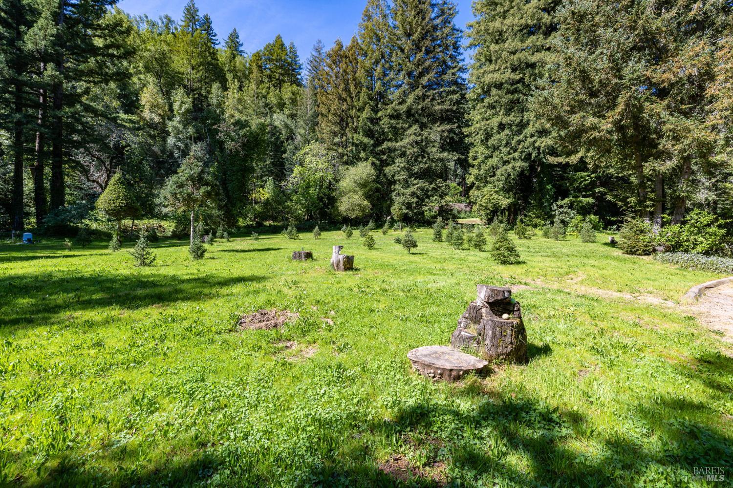 3320 Redwood Road Napa, CA 94558 - Photo 13 of 57 a view of a park with large trees