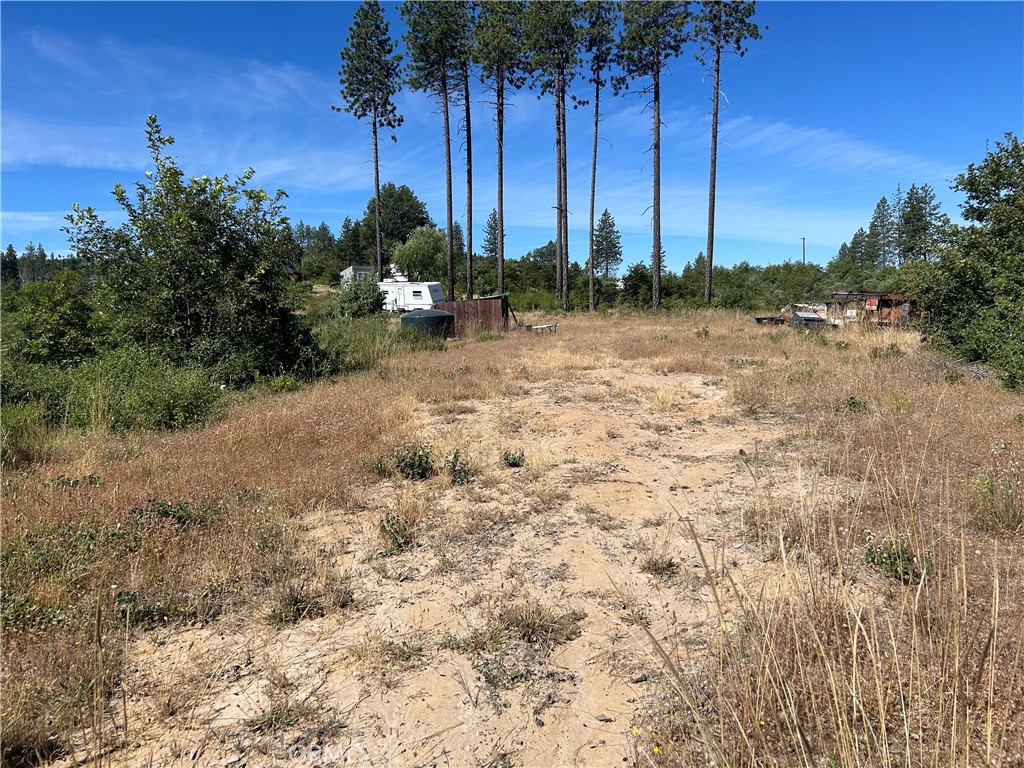 3520 Hoffman Road Oroville, CA 95965 - Photo 6 of 7 a view of a backyard of a house