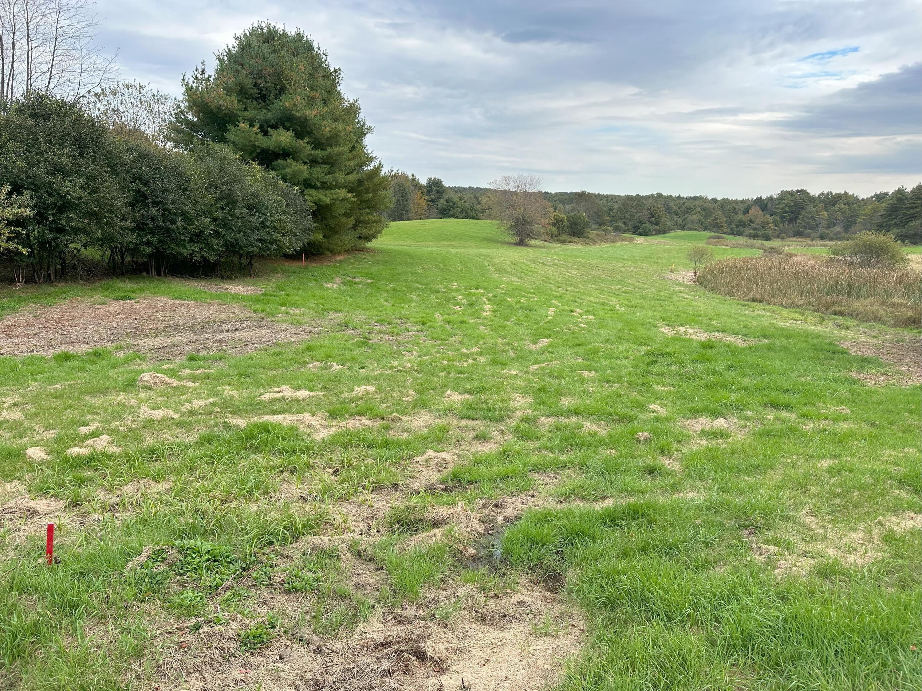 Tbd Chute Road Windham, ME 04062 - Photo 3 of 6 Chute1
