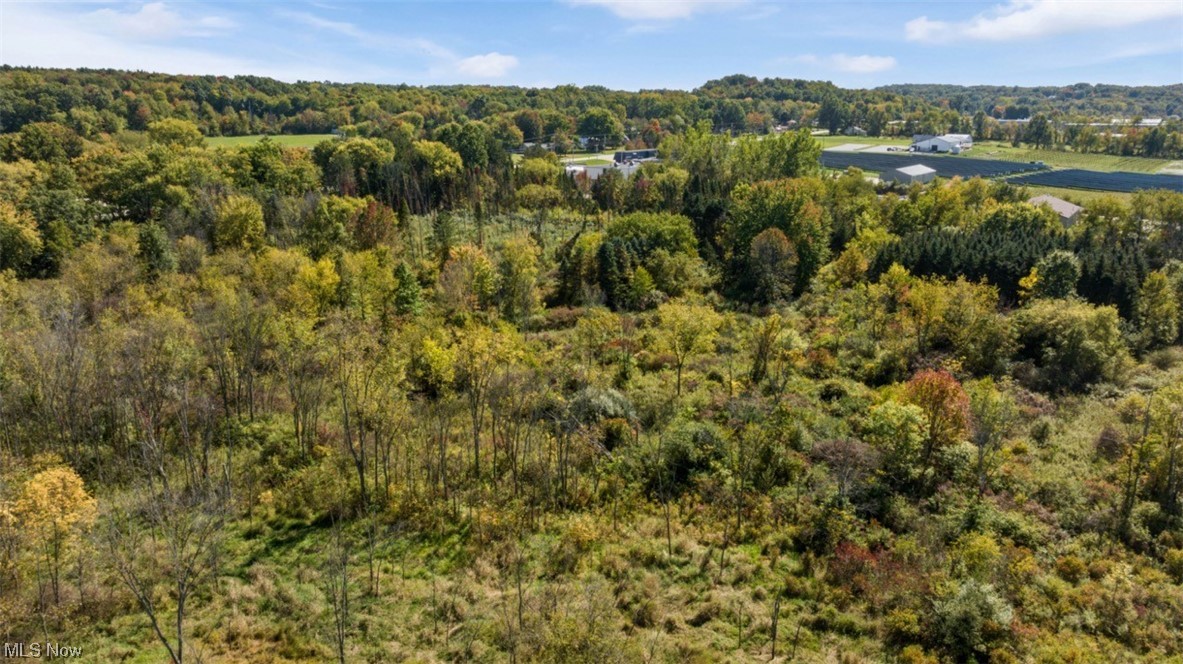 9884 Rittman Road Wadsworth, OH 44281 - Photo 8 of 27 View of aerial view